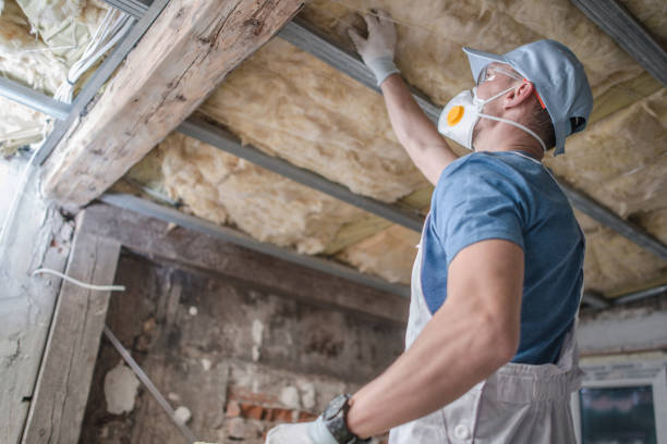 Best Types of Insulation in Tahoka, TX