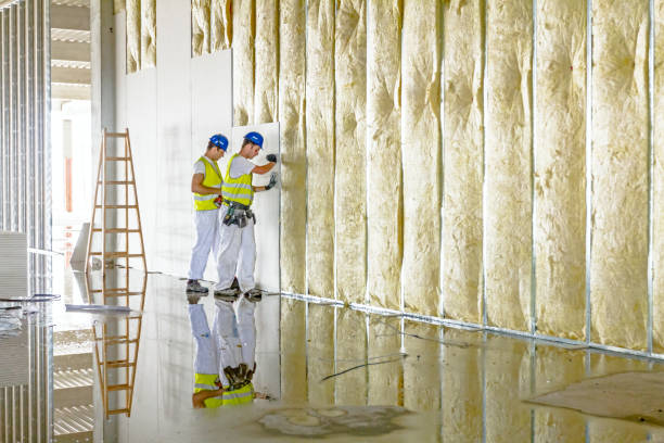 Best Insulation Maintenance and Repair in Tahoka, TX